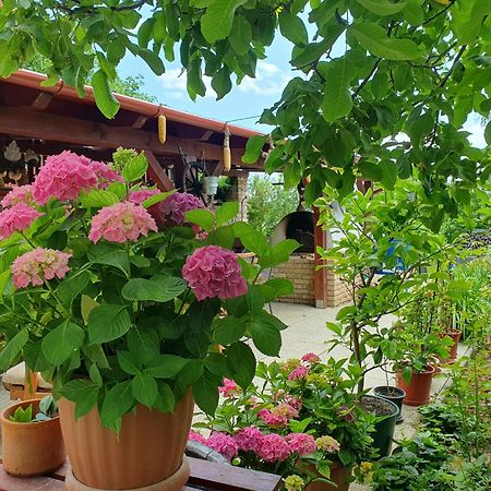Feher Rozsa Apartman Cserszegtomaj Exteriör bild