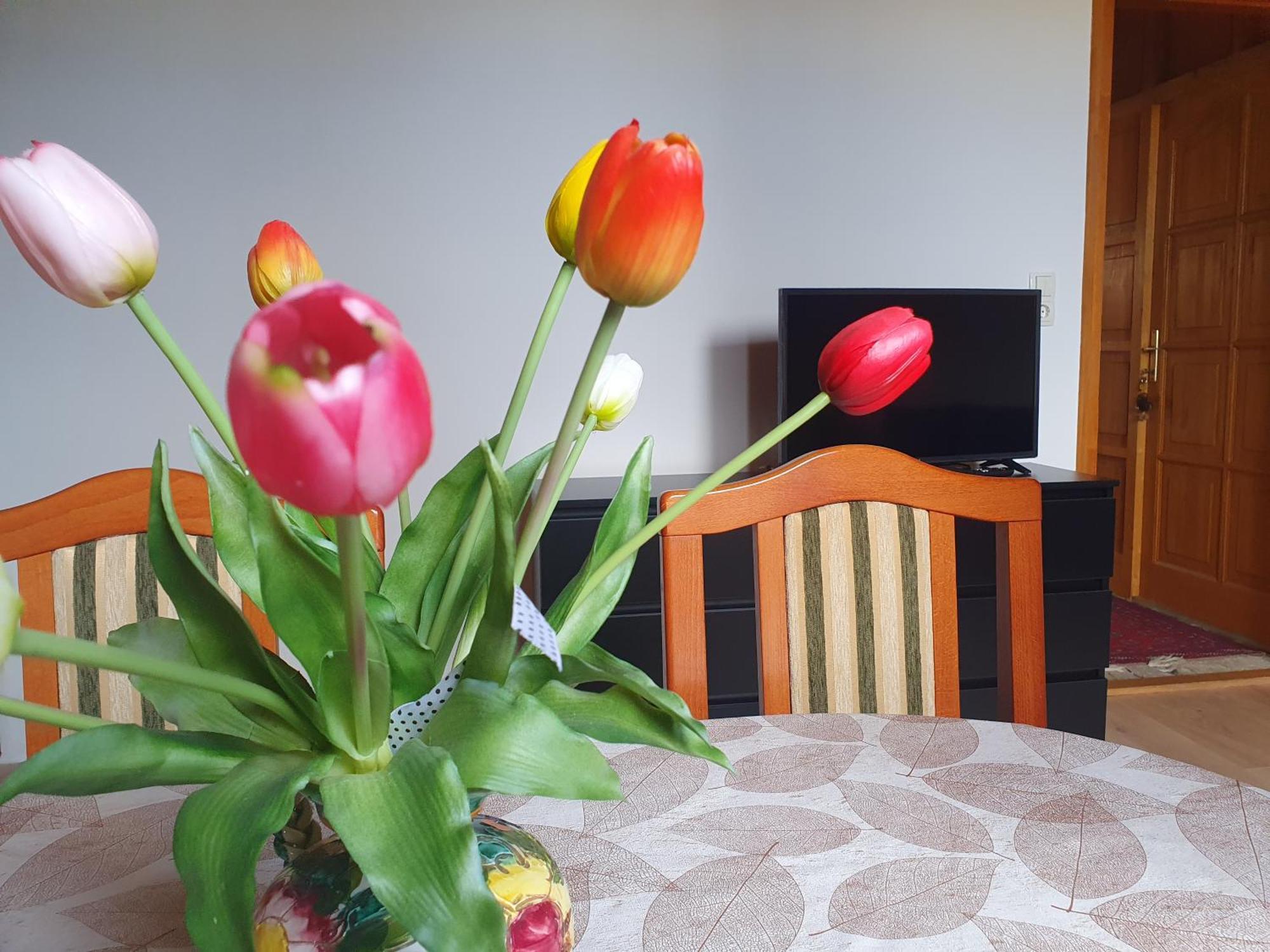 Feher Rozsa Apartman Cserszegtomaj Exteriör bild